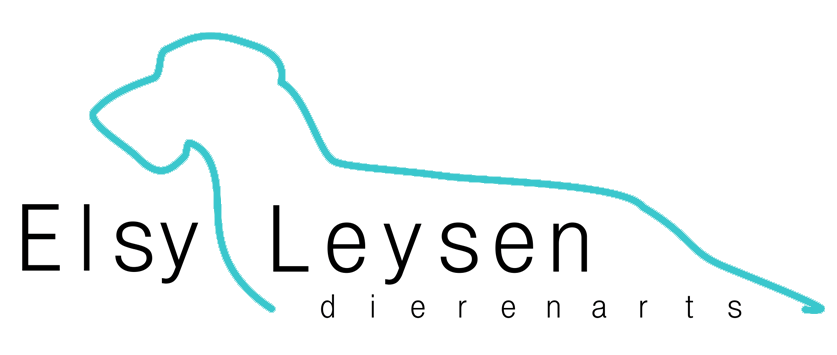 Elsy Leysen – dierenarts